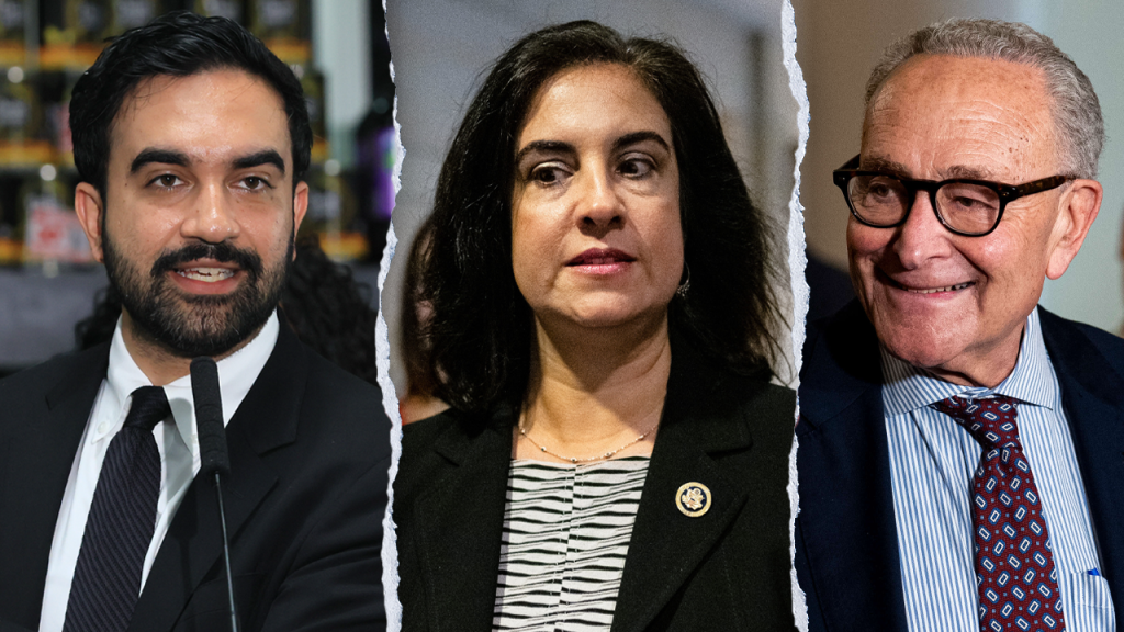 Malliotakis acusa democratas de hipocrisia sobre identificação de eleitores no Congresso