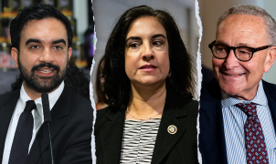 Rep Malliotakis accuses Democrats of voter ID 'hypocrisy' in Congress