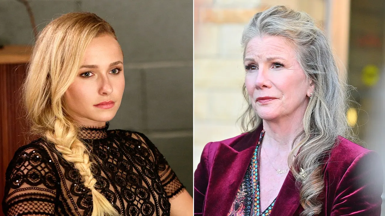 Melissa Gilbert pleads for industry reforms after Hayden Panettiere's death
