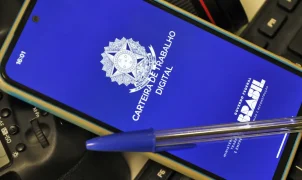Desemprego cai em 13 estados no segundo trimestre; 11 unidades ficam abaixo da média nacional