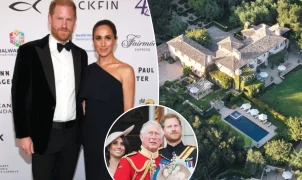 Mudança de Harry e Meghan para o Reino Unido teria motivação financeira, dizem fontes