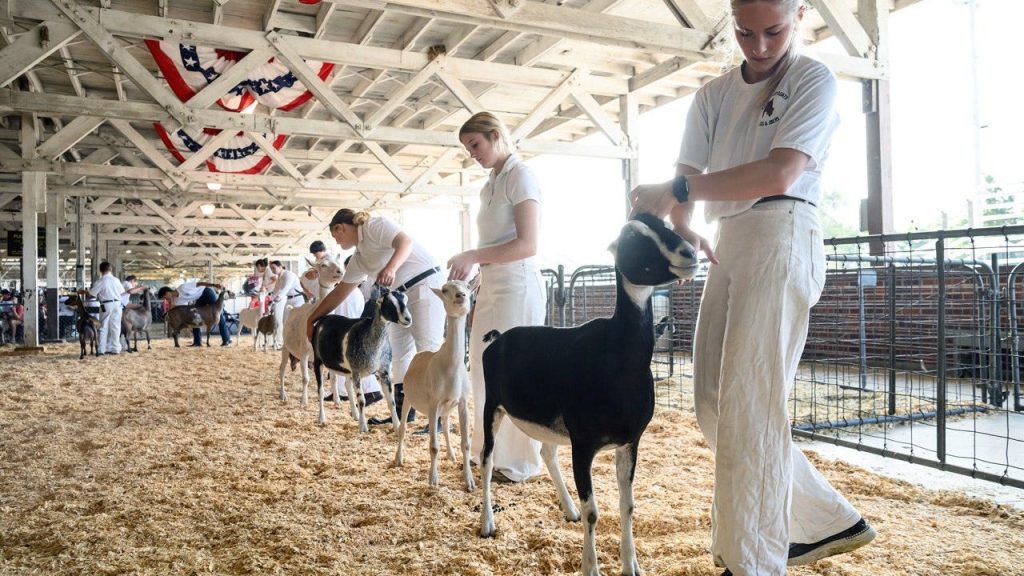 Alerta de raiva na Carolina do Norte após cabras de zoológico itinerante testarem positivo