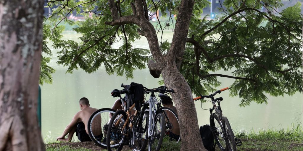 São Paulo terá alta gradual das temperaturas a partir de quarta-feira