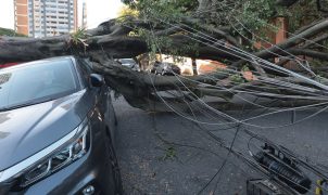 Setor elétrico defende inovação para enfrentar eventos climáticos extremos