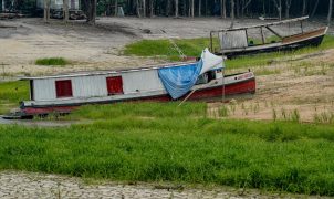 COP17 na Mongólia busca avanços em seca, degradação da terra e financiamento