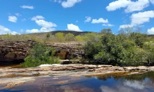 Pantanal: preservação do bioma depende da recuperação de outros ecossistemas