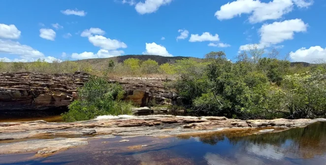 Pantanal: preservação do bioma depende da recuperação de outros ecossistemas