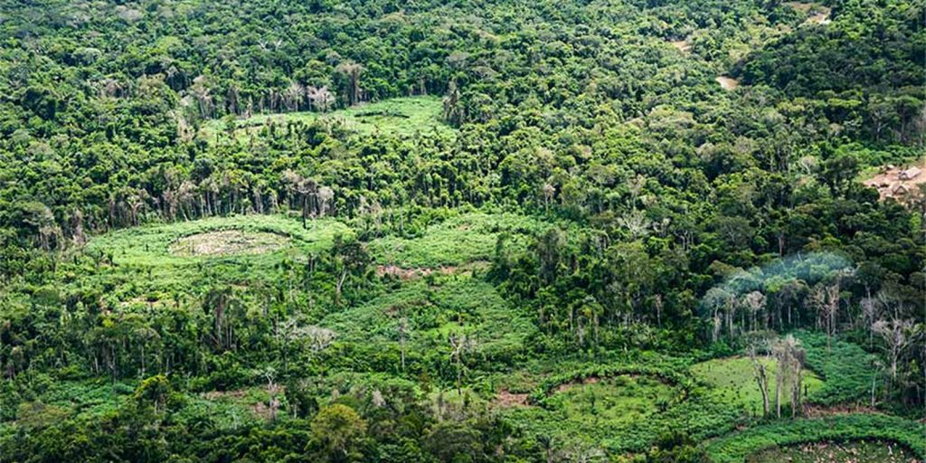 Indígenas e cientistas unem saberes para inventariar espécies na Terra Indígena Panará