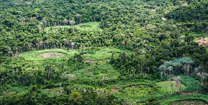 Indígenas e cientistas unem saberes para inventariar espécies na Terra Indígena Panará