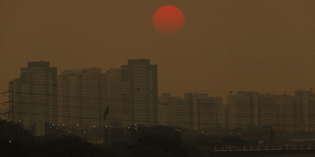 Relatório do Observatório do Clima propõe 37 soluções para reduzir emissões de metano no Brasil