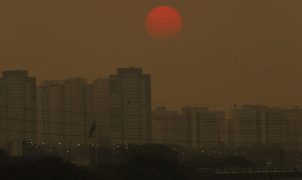 Relatório do Observatório do Clima propõe 37 soluções para reduzir emissões de metano no Brasil