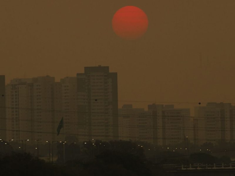 Relatório do Observatório do Clima propõe 37 soluções para reduzir emissões de metano no Brasil
