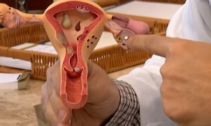 CNPq abre seleção com R$ 60 milhões para pesquisas sobre endometriose e saúde menstrual