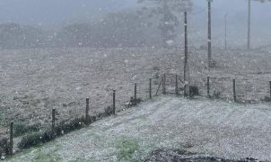 Defesa Civil reconhece emergência em oito municípios gaúchos após chuvas, granizo e inundações
