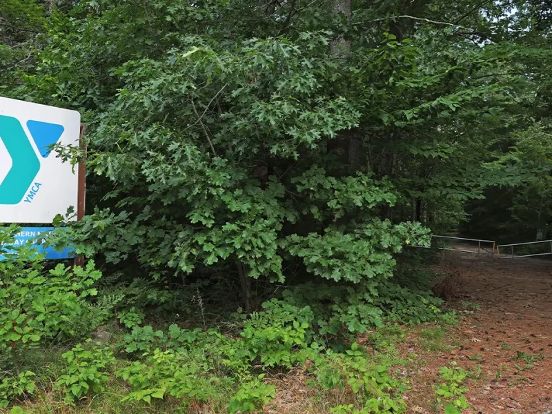 8-year-old boy killed by falling tree at Massachusetts YMCA camp