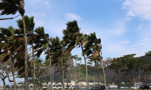 Defesa Civil alerta para ventos fortes e rajadas acima de 76 km/h no Rio