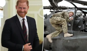 Príncipe Harry assume compromisso arriscado em primeira aparição desde retorno ao Reino Unido
