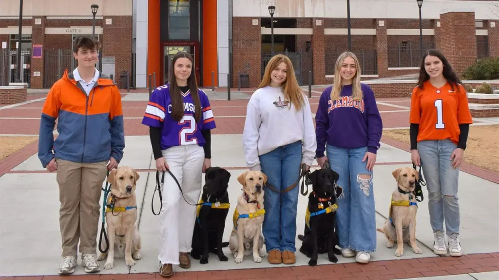 Cachorros em treinamento roubam a cena nos campi de LSU e Clemson antes do duelo de futebol americano