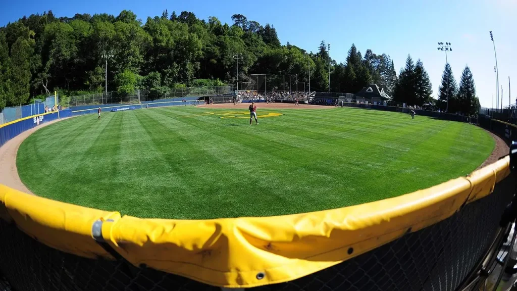 Ex-jogadora de softbol da UC Berkeley processa universidade e ex-técnica por suposto assédio sexual