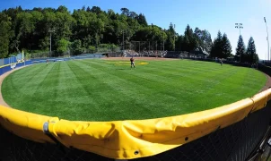 Former Cal softball player files lawsuit against university, female ex-coach over alleged sexual misconduct