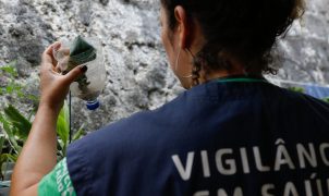 Estado de São Paulo ultrapassa 58 mil casos de dengue em 2026 e registra 42 mortes