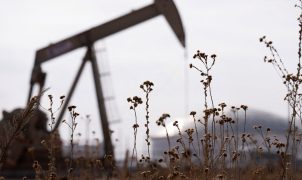 Alta da gasolina nos EUA acende alerta entre republicanos antes das eleições