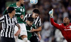 Botafogo e Palmeiras empatam no Nilton Santos e Flamengo assume liderança do Brasileirão