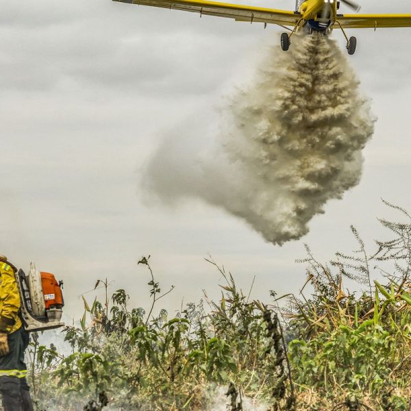ONU alerta: limite de 1,5 °C será ultrapassado e pede ação imediata
