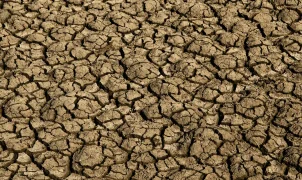 Governo do RN decreta emergência por seca em 123 municípios