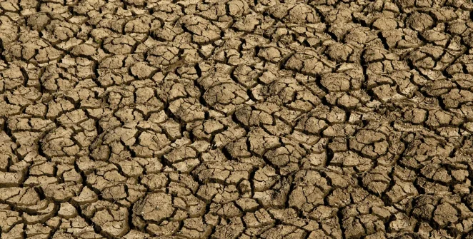 Governo do RN decreta emergência por seca em 123 municípios