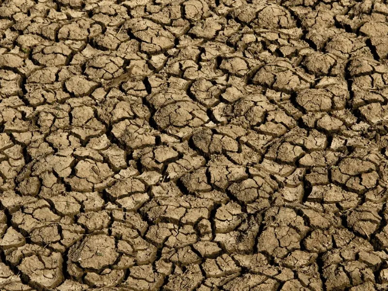 Governo do RN decreta emergência por seca em 123 municípios