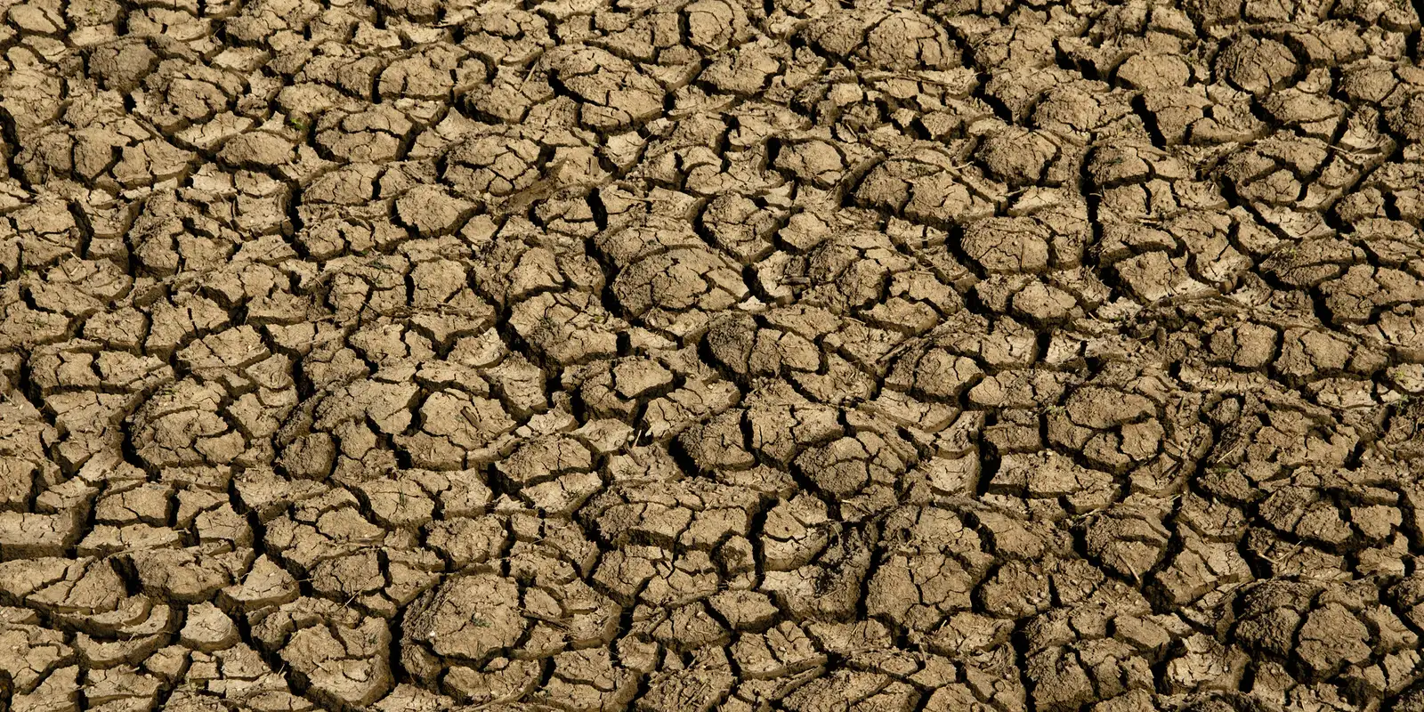 Governo do RN decreta emergência por seca em 123 municípios