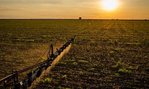 Nova lei do seguro rural fixa prazos para indenizações e amplia garantias de crédito