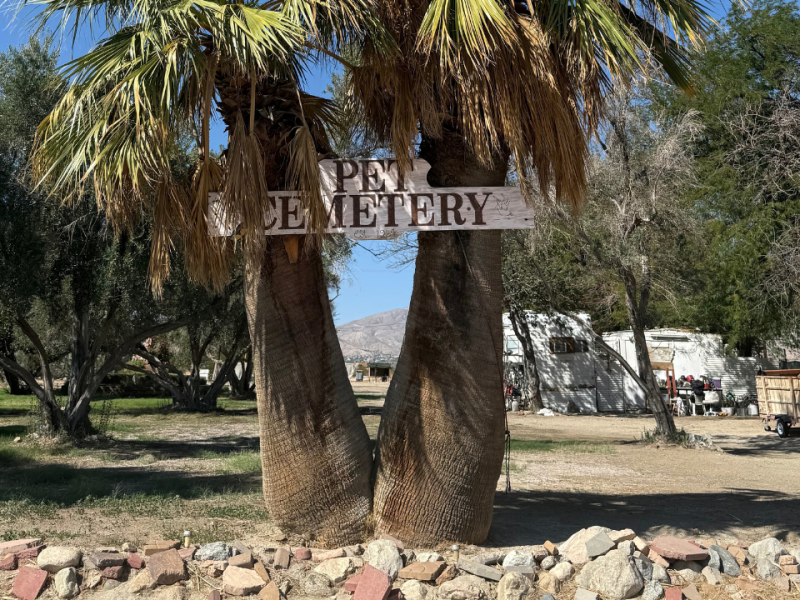 Gerald Ford's dog Liberty, Liberace's pets buried at CA desert pet cemetery