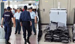 Orlando International Airport seizes 200 pounds of marijuana in dramatic busts
