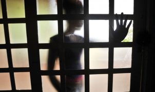 Plataforma reúne contatos de conselhos tutelares para facilitar denúncias de violência sexual infantil