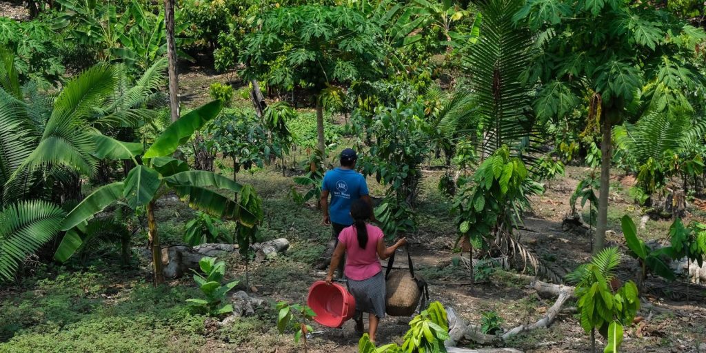 Amazônia ao Chaco: vozes latinas cobram ações concretas contra a seca e a degradação