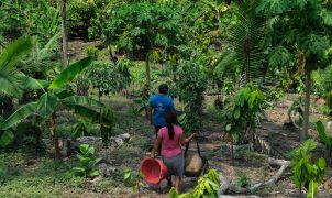 Amazônia ao Chaco: vozes latinas cobram ações concretas contra a seca e a degradação