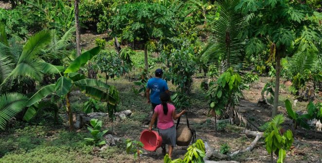 Amazônia ao Chaco: vozes latinas cobram ações concretas contra a seca e a degradação