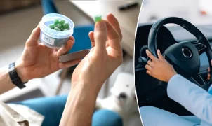 Cannabis edibles impair driving even when THC blood tests are low