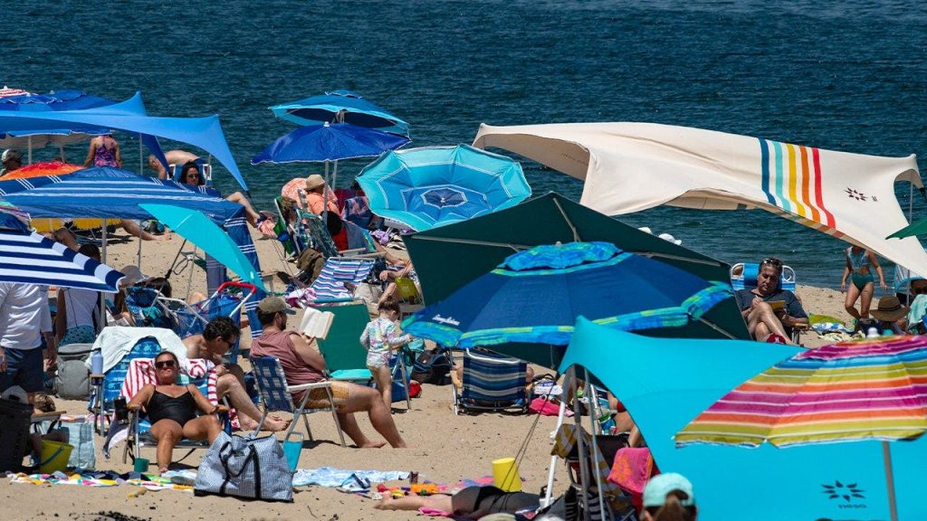 Tubarões brancos transformam Cape Cod em destino de ecoturismo