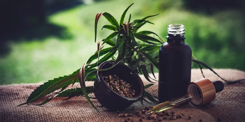 Associações cobram definição de regras sobre cultivo e fiscalização de cannabis medicinal