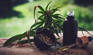 Associações cobram definição de regras sobre cultivo e fiscalização de cannabis medicinal