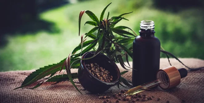 Associações cobram definição de regras sobre cultivo e fiscalização de cannabis medicinal