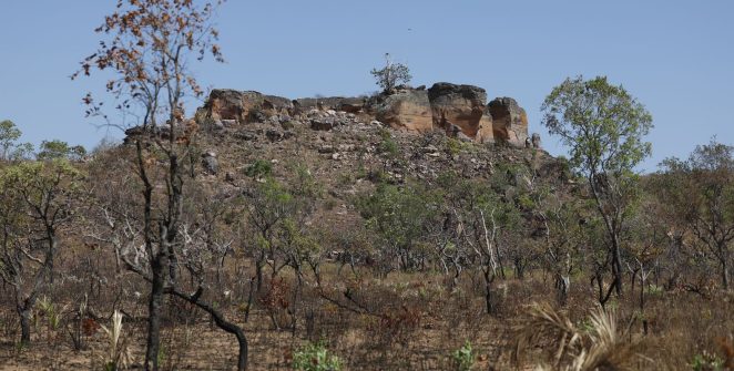 Terras indígenas são barreira contra desmatamento no Cerrado, aponta Mapbiomas