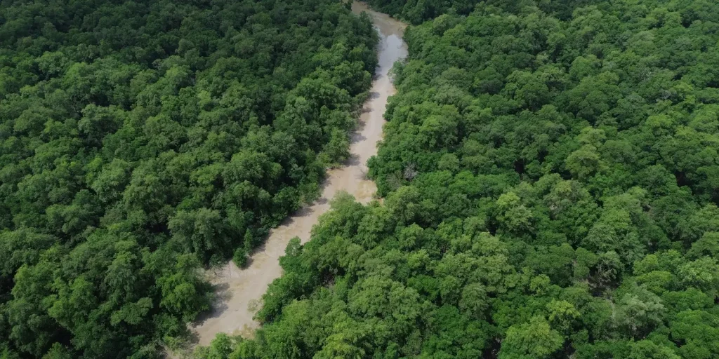 Dia da Amazônia abre contagem regressiva para eleições com campanha por votos ambientais