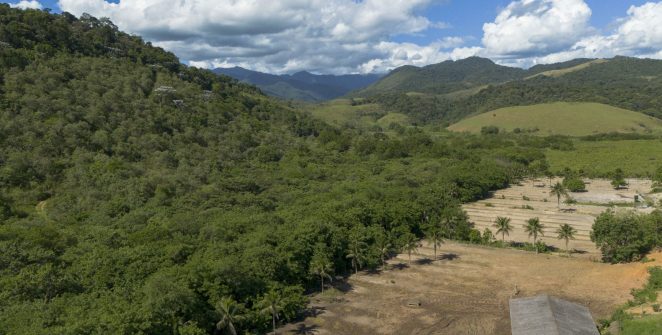 Mata Atlântica perde 11 milhões de hectares de pastagem para a agricultura em 41 anos