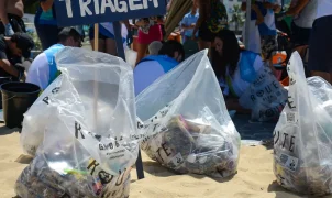 Mutirões de limpeza mobilizam praias de cinco estados em setembro