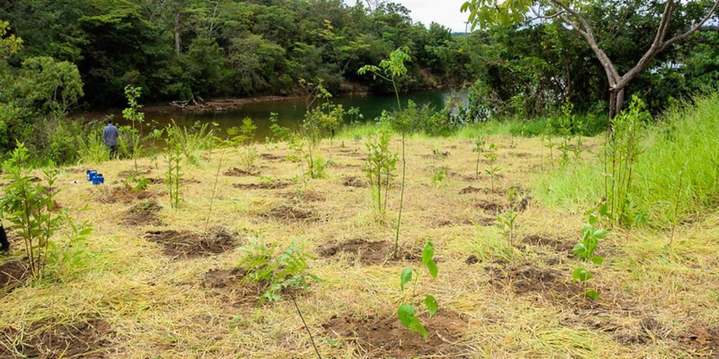 Nova lei amplia ECA e assegura acesso prioritário de crianças e adolescentes a áreas verdes