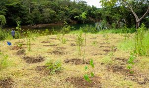Nova lei amplia ECA e assegura acesso prioritário de crianças e adolescentes a áreas verdes